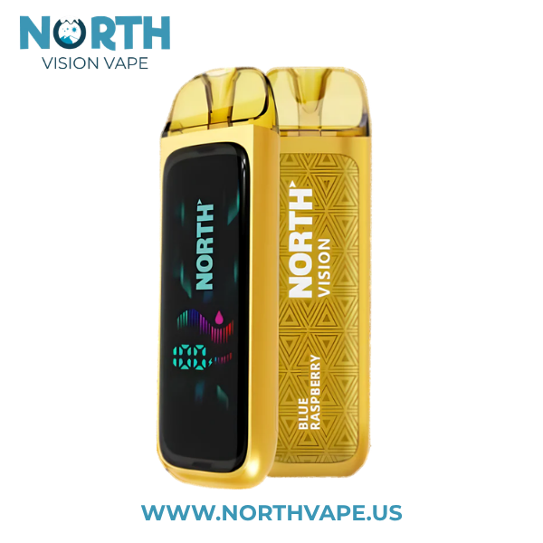 Blue Raspberry North Vision 15K Puffs Disposable Vape