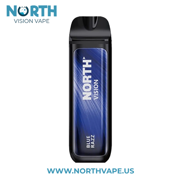 Blue Razz North Vision 15K Puffs Disposable Vape