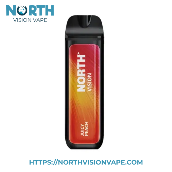 Juicy Peach North Vision 15K Puffs Disposable Vape