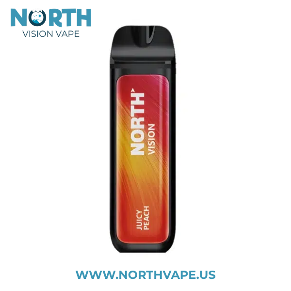 Juicy Peach North Vision 15K Puffs Disposable Vape